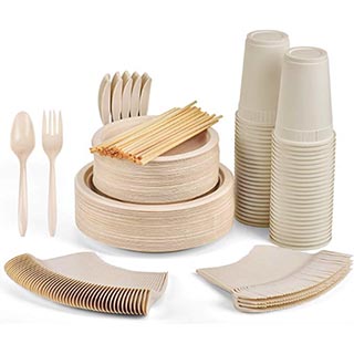 350-pc-disposable-compostable-picnic set