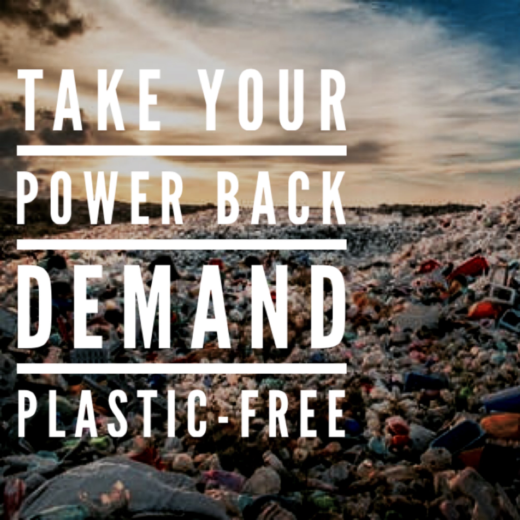 Amazon supply and demand for plastic free shipping
